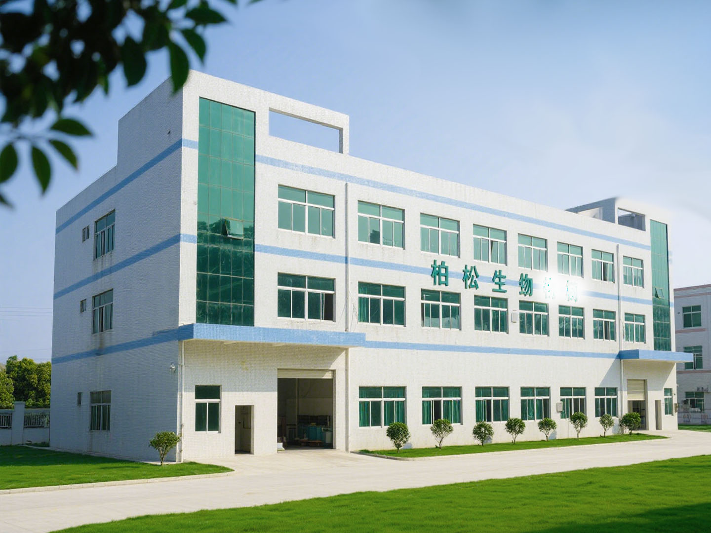 桥头柏松无尘车间装修工程